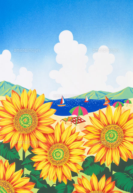 ベストクレヨンしんちゃん ひまわり イラスト 簡単 ディズニー帝国