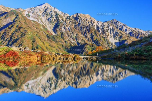 私は本当にそれが好きです 八方池紅葉