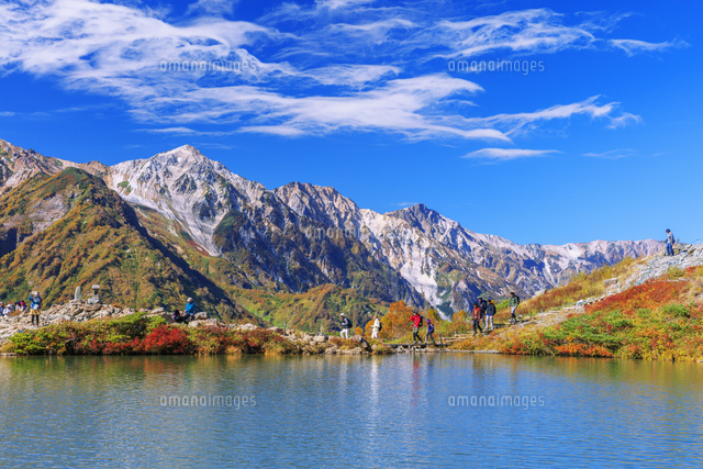 私は本当にそれが好きです 八方池紅葉