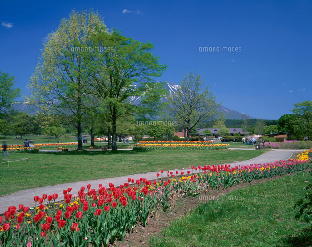 小岩井 農場 まき ば 園