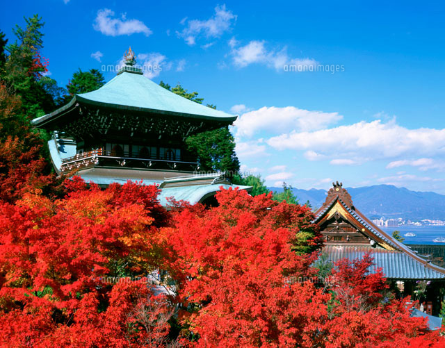 紅葉の大聖院
(c)KEISUKE IWAMOTO/SEBUN PHOTO