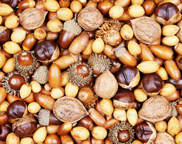 最高木の実 画像 最高の花の画像