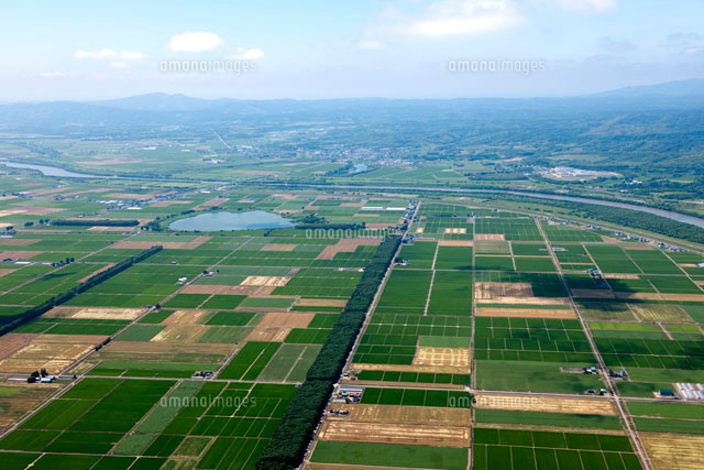 宮島沼石狩平野
(c)YOICHI TSUKIOKA/SEBUN PHOTO