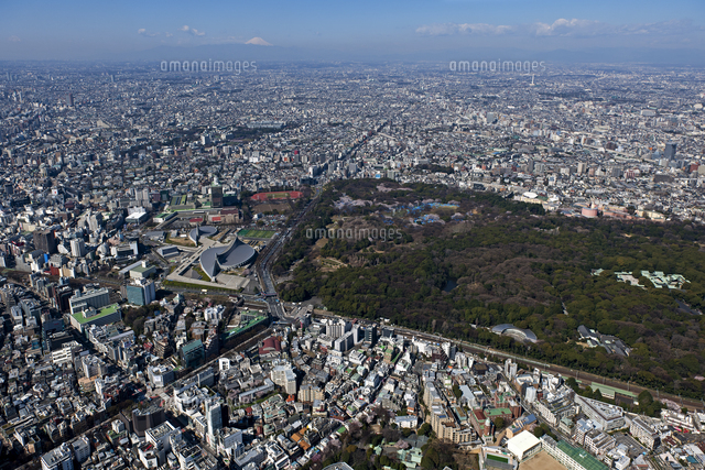 原宿明治神宮から富士山
(c)YOICHI TSUKIOKA/SEBUN PHOTO