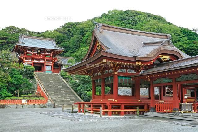鶴岡八幡宮の本宮と下拝殿 上宮 舞殿 の写真素材 イラスト素材 アマナイメージズ