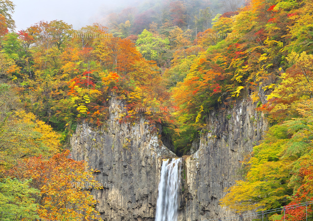 新潟県 晩秋の苗名滝 26127005706 の写真素材 イラスト素材 アマナ