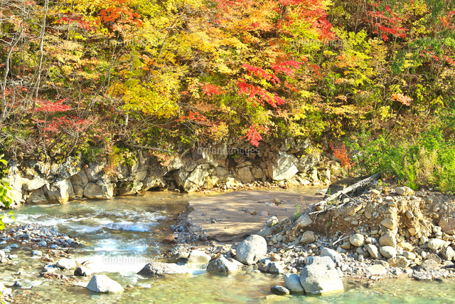 岩手県 晩秋の八幡平 松川渓谷 26127007841 の写真素材 イラスト素材