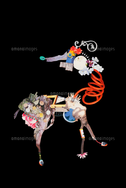 フダシカ
(c)Chihiro Kanzaki/a.collection