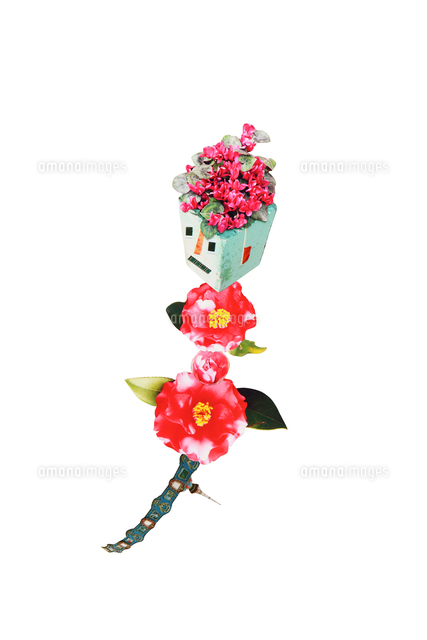 花レイゾウコ
(c)Chihiro Kanzaki/a.collection