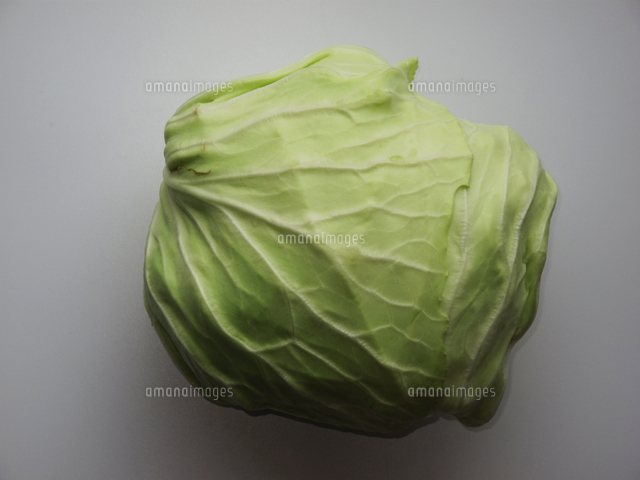 オカダンゴムシ 食べ物実験 キャベツ 食べる 32190000250 の写真素材 イラスト素材 アマナイメージズ