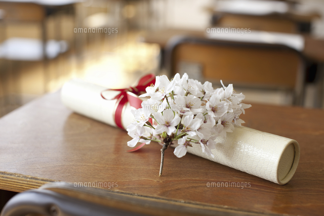 卒業証書と桜の花
(c)GYRO PHOTOGRAPHY/a.collectionRF