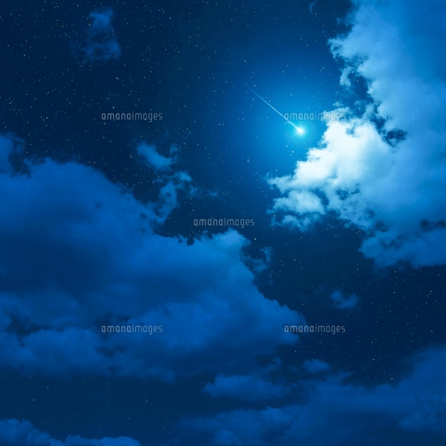 美しい花の画像 新鮮な夜空 夜景 イラスト フリー 美しい花の画像 新鮮な夜空 夜景 イラスト フリー