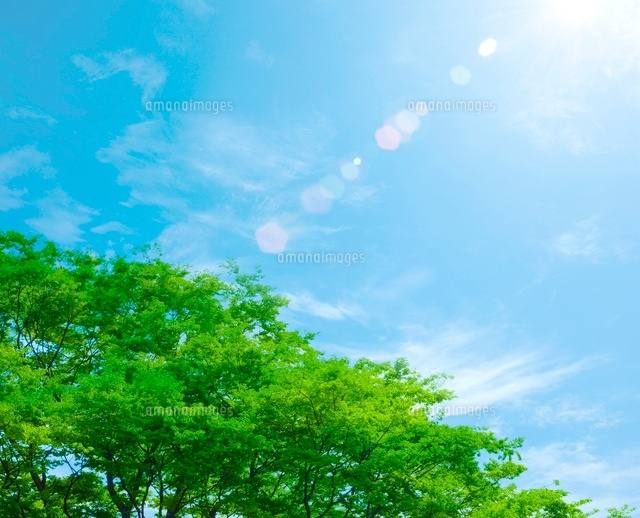 新緑と空
(c)KAZUNORI YOSHIKAWA/a.collectionRF