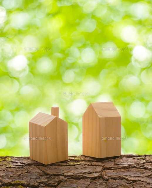 木の模型の家
(c)KAZUNORI YOSHIKAWA/a.collectionRF