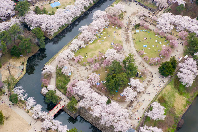 桜咲く弘前公園と弘前城
(c)HISAO OSONO/a.collectionRF