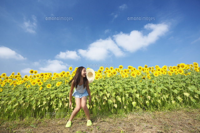 ひまわり畑で元気よくジャンプした女の子 の写真素材 イラスト素材 アマナイメージズ