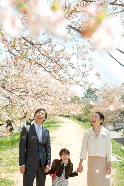 手をつなぎ桜を見上げる小学生の女の子と両親 10161004512 の写真素材 手をつなぎ桜を見上げる小学生の女の子と両親 10161004512 の写真素材