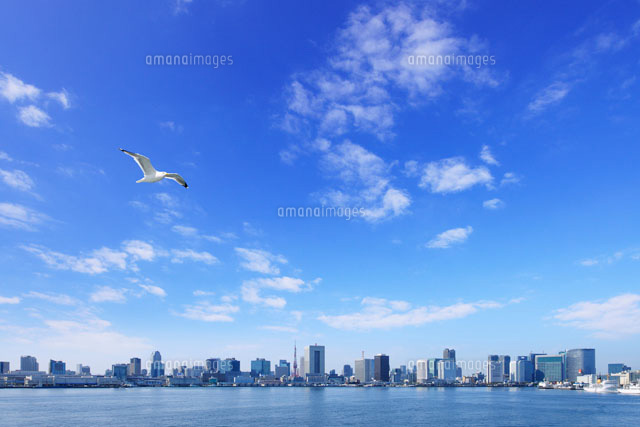 海上から見る東京都心のビル群とかもめ
(c)PHOTOLIFE/a.collectionRF