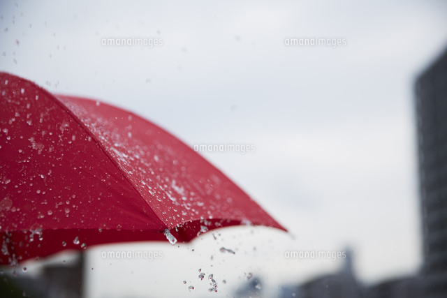 傘に付いた雨を飛ばしている
(c)IDC/a.collectionRF