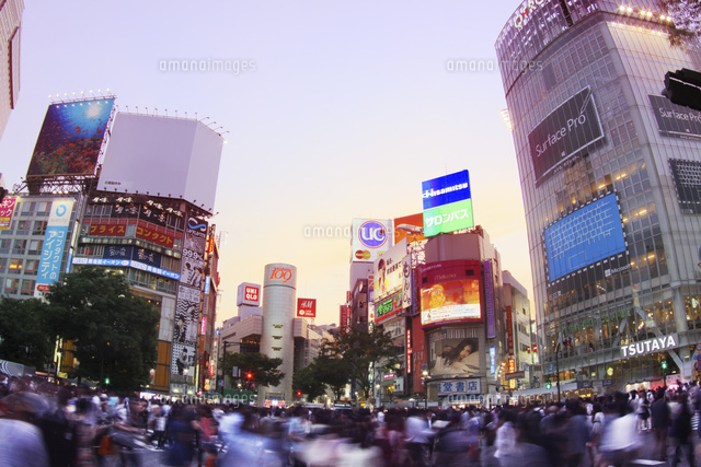 渋谷
(c)palvec/a.collectionRF