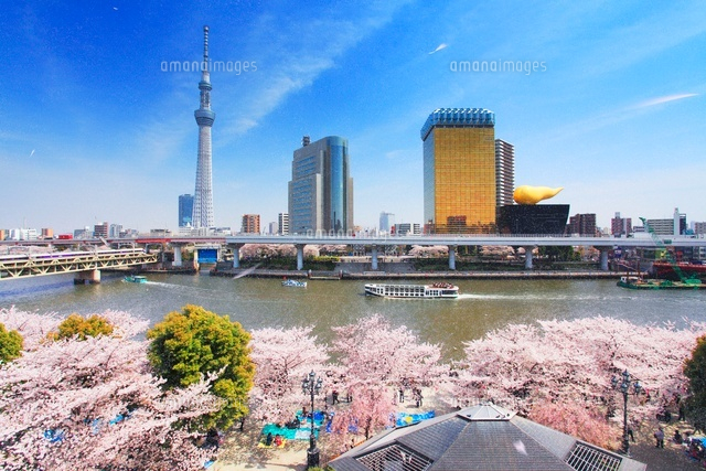 隅田公園の桜吹雪とスカイツリーと隅田川と船と特急スペーシア
(c)Mitsushi Okada/a.collectionRF
