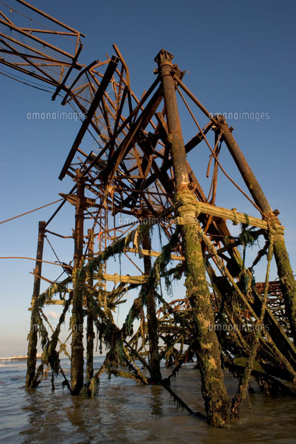 海辺に佇むブライトンピアの焼け跡
(c)MARTIN RICHARDSON/a.collectionRF