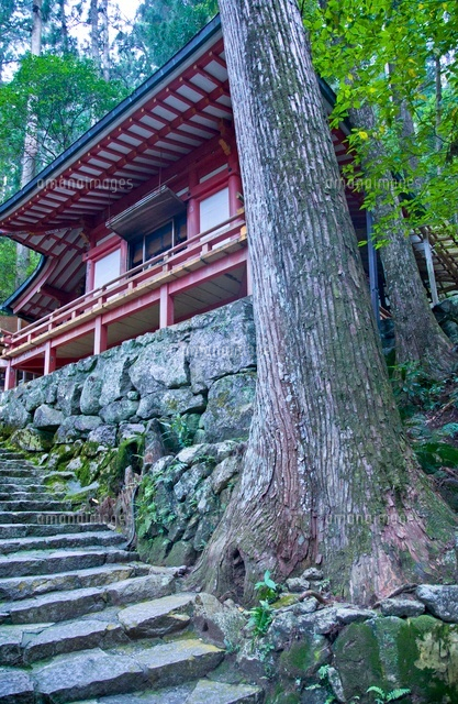 飛龍神社祈願所と石段 の写真素材 イラスト素材 アマナイメージズ