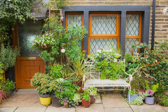 玄関のガーデニング の写真素材 イラスト素材 アマナイメージズ