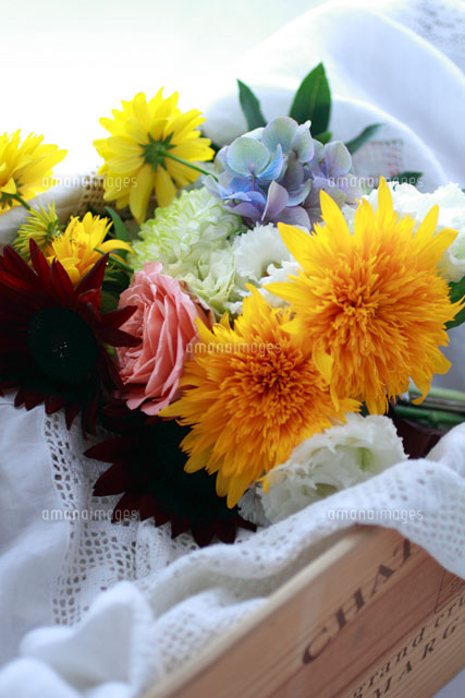 ひまわりの花束とワイン箱 10405000008 の写真素材 イラスト素材 アマナイメージズ