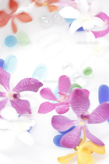 水の上を流れるランの花と水底のガラス玉 10405001083 の写真素材