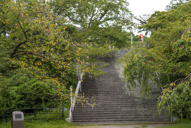 光雲神社への階段 の写真素材 イラスト素材 アマナイメージズ