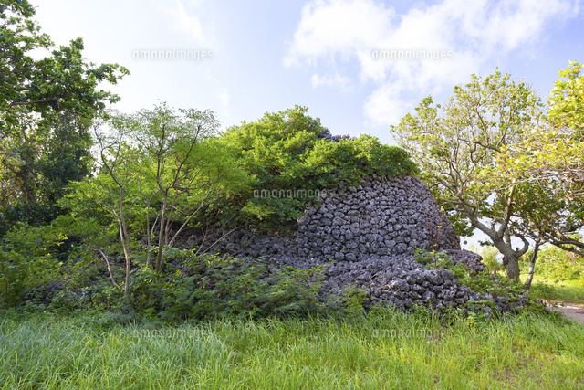 黒島,琉球石灰岩のプズマリ
(c)officek/a.collectionRF