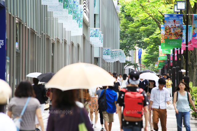 夏の表参道
(c)Keiji Kaneda/a.collectionRF