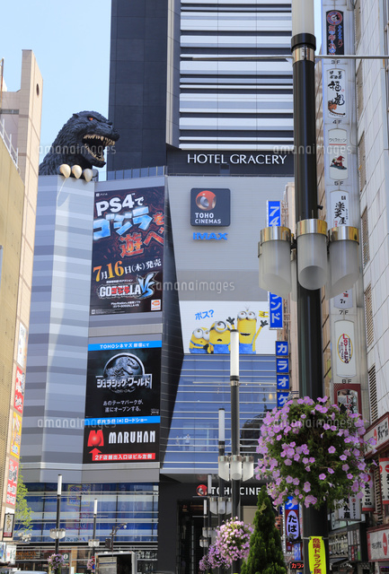 新宿東宝ビルと歌舞伎町
(c)Koutaro Makioka/a.collectionRF