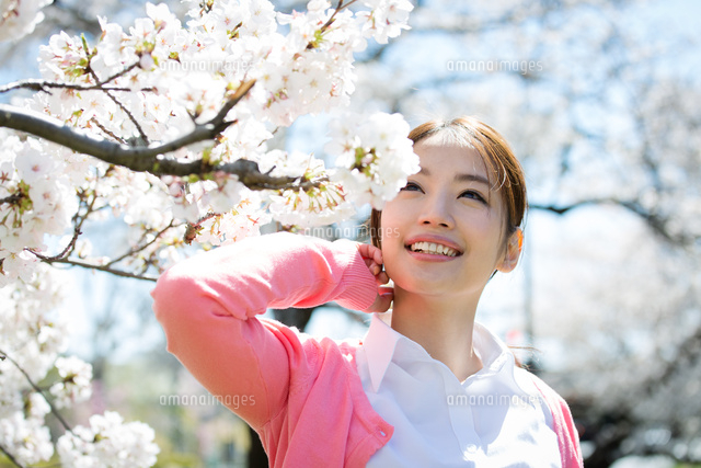 満開の桜を楽しむ若い女性
(c)forty-one/amanaimagesRF
