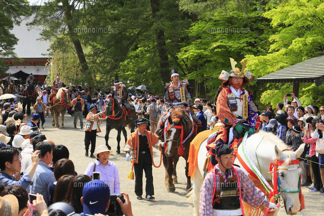 春の藤原祭り の写真素材 イラスト素材 アマナイメージズ