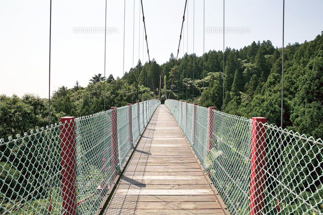 夏の千眼堂吊り橋 国上山 の写真素材 イラスト素材 アマナイメージズ