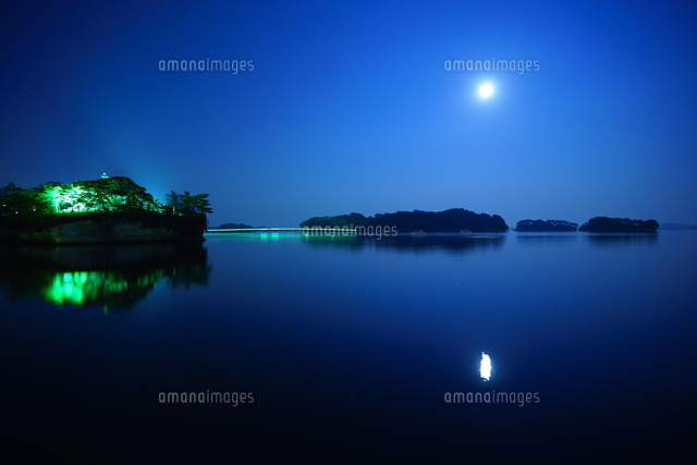 50 素晴らしいイラスト 月夜 最高の動物画像