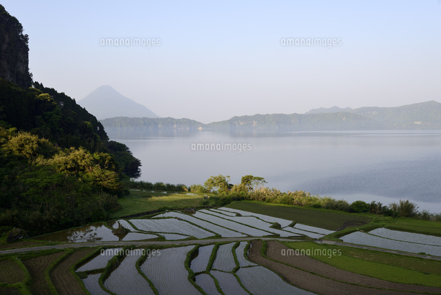 新永吉の棚田と池田湖 の写真素材 イラスト素材 アマナイメージズ