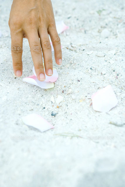 Hand touching petals scattered on sand
(c)Sandro Di Carlo Darsa/Photo Alto
