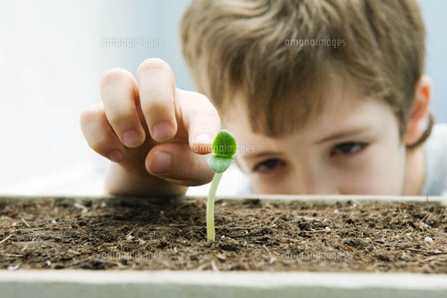 Boy touching seedling, cropped view
(c)Odilon Dimier/PhotoAlto