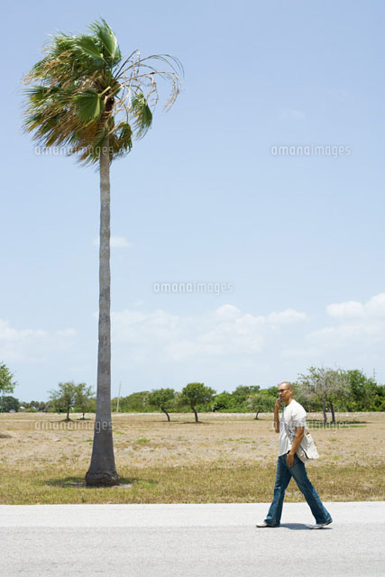 Man walking by palm tree,using cell phone,mid-distance
(c)Frederic Cirou/PhotoAlto