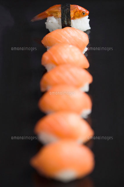 Goldfish prepared as nigiri sushi
(c)Ale Ventura/PhotoAlto