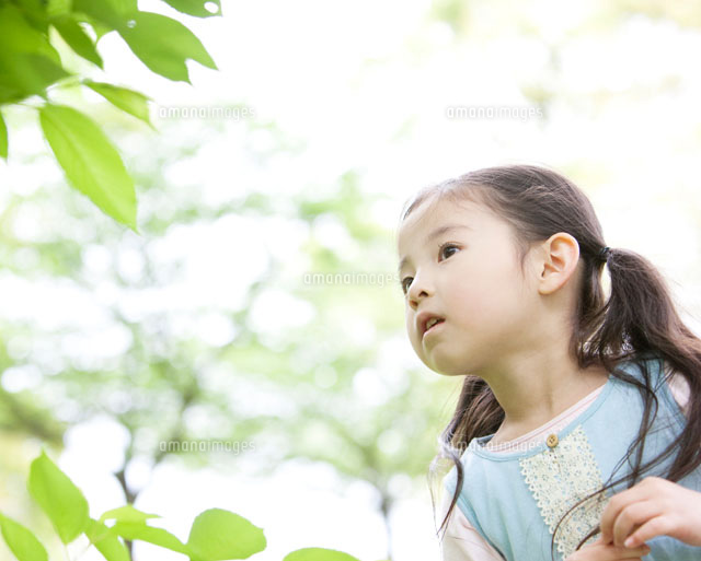 遠くを見る女の子 の写真素材 イラスト素材 アマナイメージズ