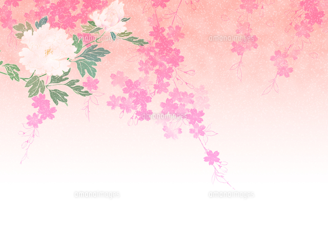 50 牡丹 イラスト 簡単 美しい花の画像