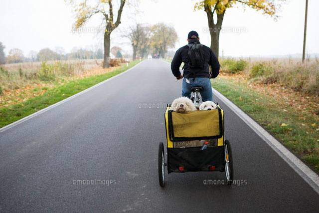 bike man trailer