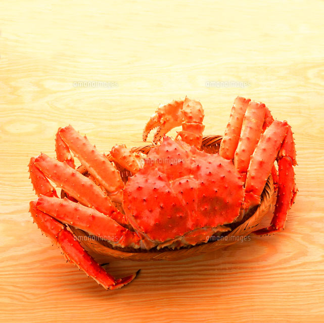 タラバ蟹
(c)visual supple