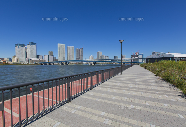 豊洲ぐるり公園の遊歩道と豊洲 晴海方面のビル群 の写真素材 イラスト素材 アマナイメージズ