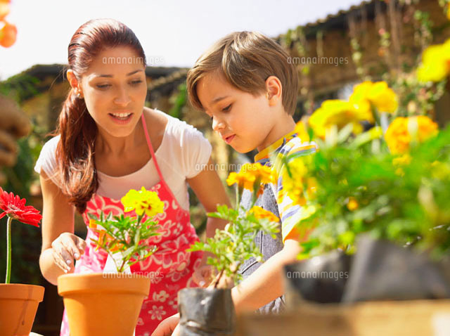 Mother and son planting flowers
(c)clover/a.collectionRF