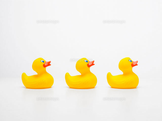 Three rubber ducks in row
(c)clover/a.collectionRF